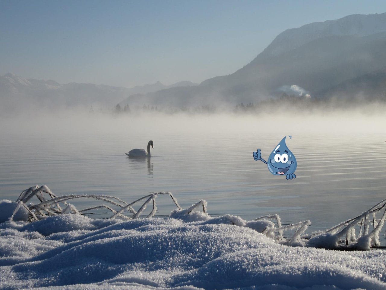 Wolfgangseer Advent: Advent am Wolfgangsee